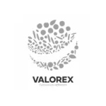 logo valorex